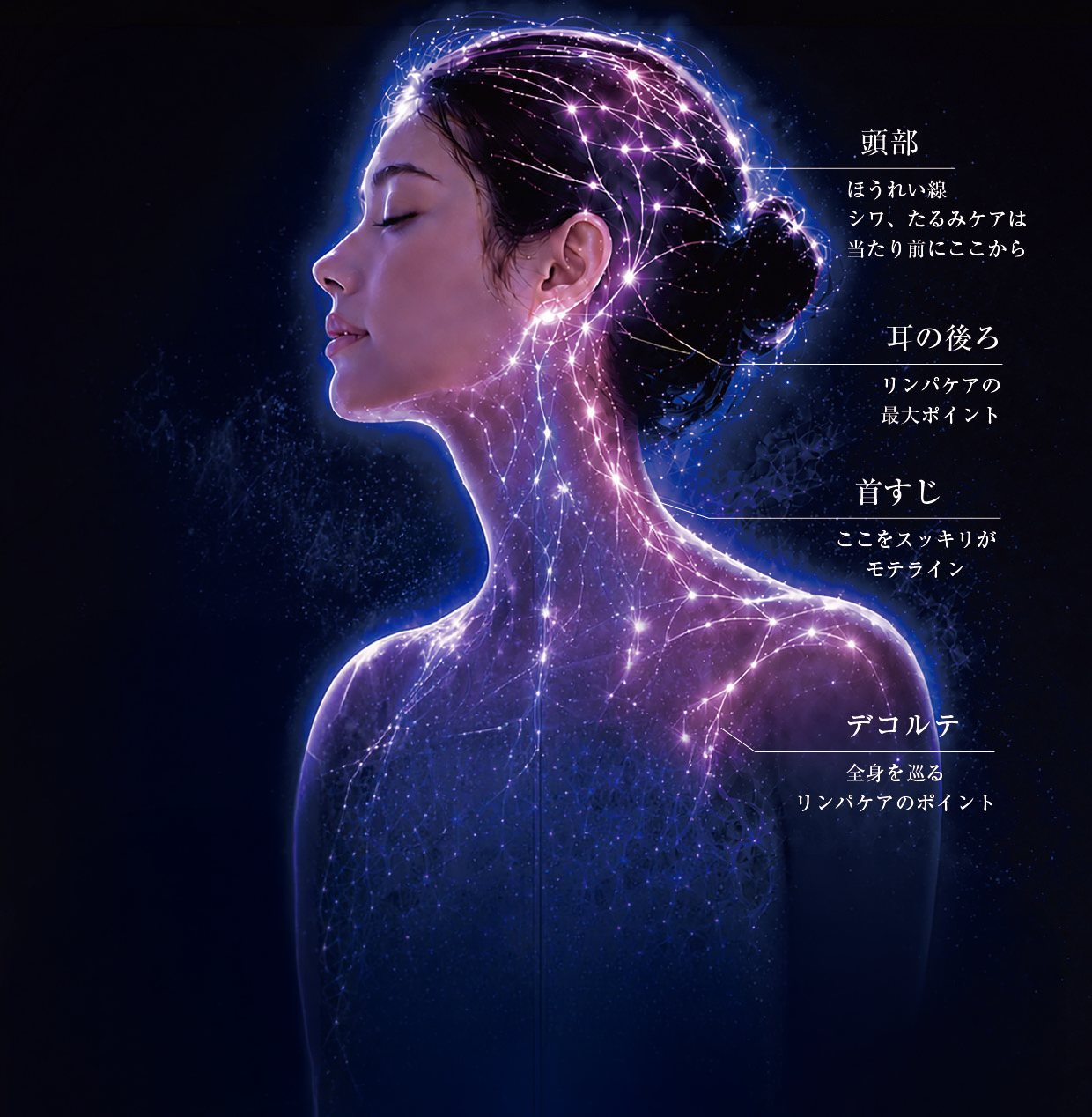 使用部位の説明図